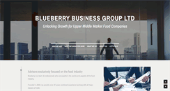 Desktop Screenshot of blueberrybusinessgroup.com